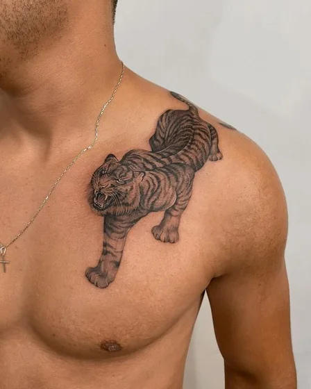 Realistic black and grey tiger tattoo design for men on chest and shoulder